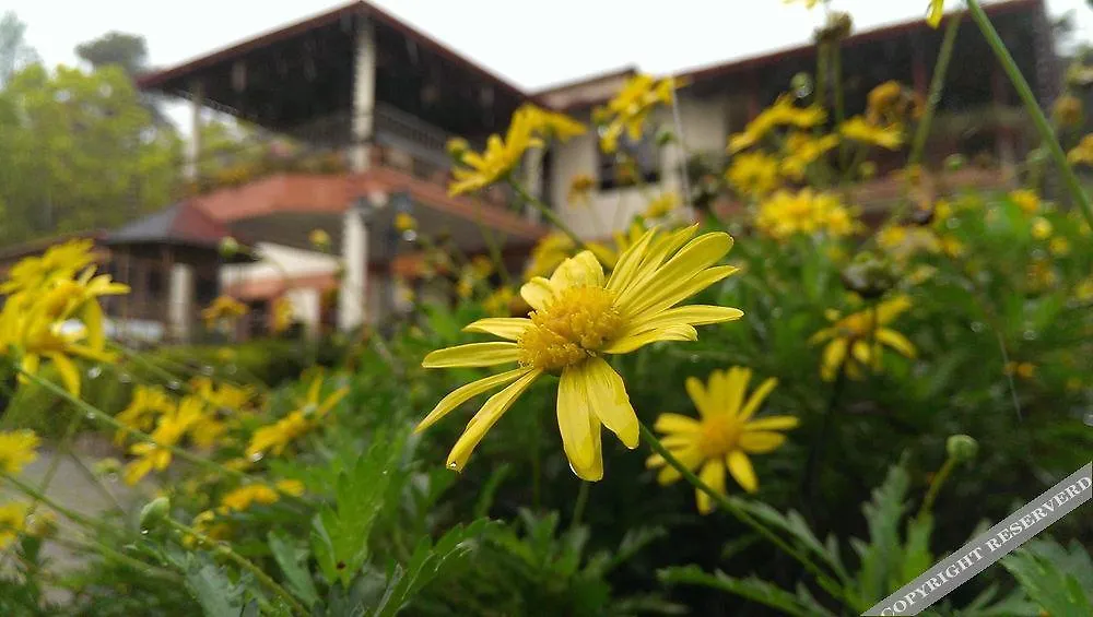 ***  Altocerro Villas Hotel & Camping Constanza Dominik Cumhuriyeti